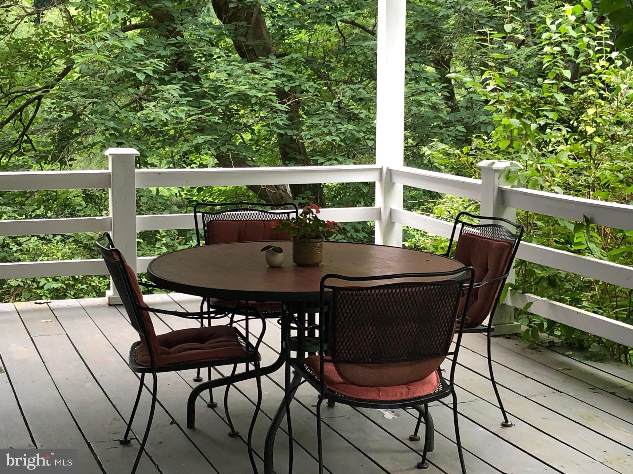 3131 Slate Mills Road Sperryville, VA 22740 - Photo 71 of 105 The "Saddle Porch" awaits your morning coffee