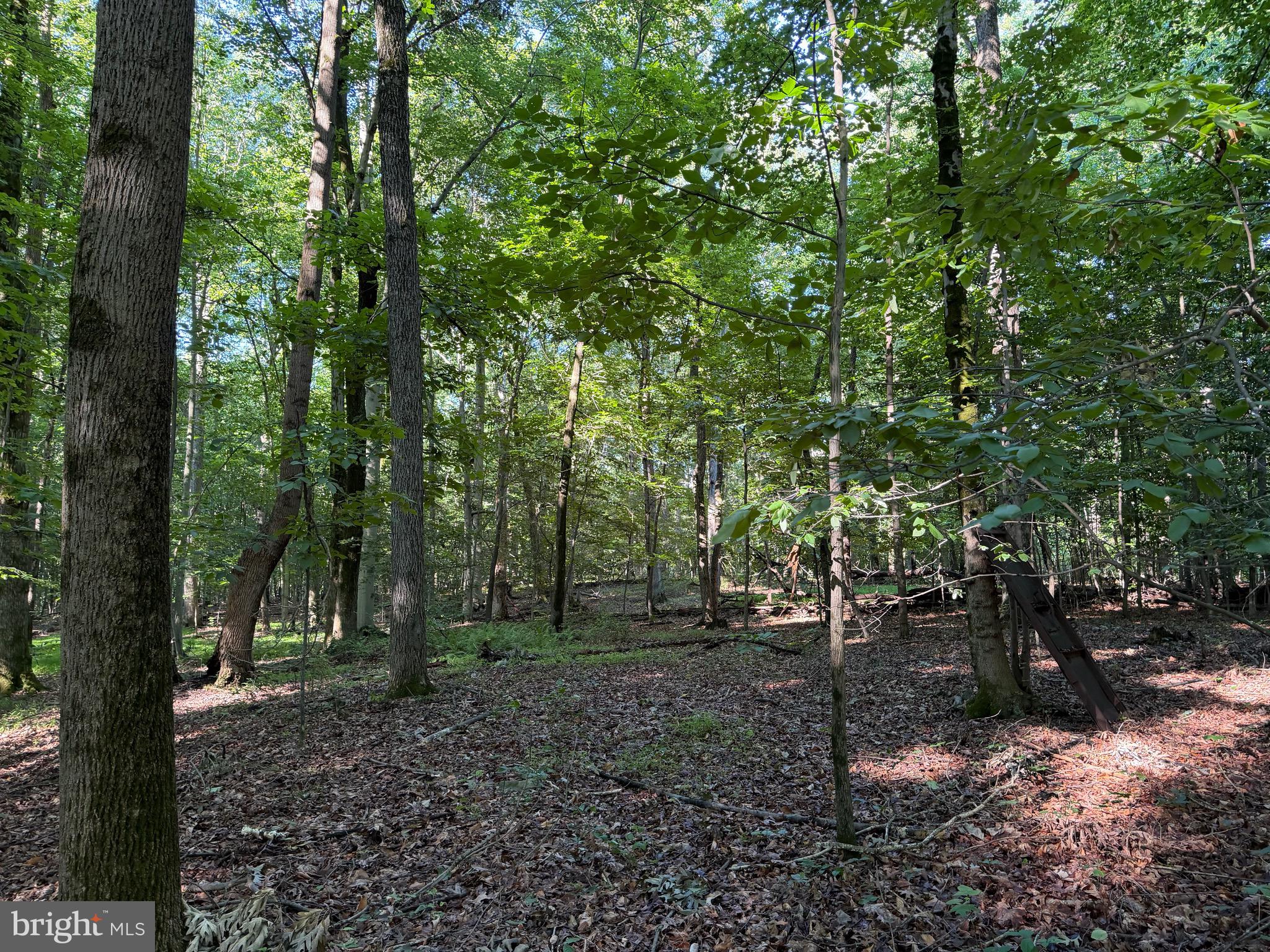 0 Rock Springs Road Conowingo, MD 21918 - Photo 61 of 79