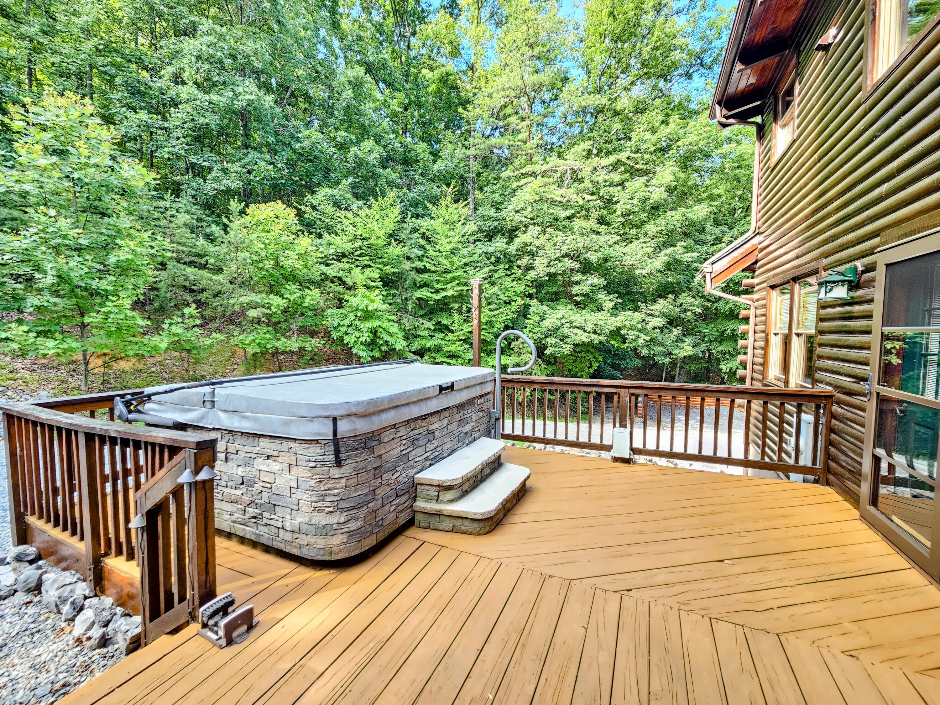 634 Zimmerman Road Blue Ridge, VA 24064 - Photo 11 of 55 Hot tub