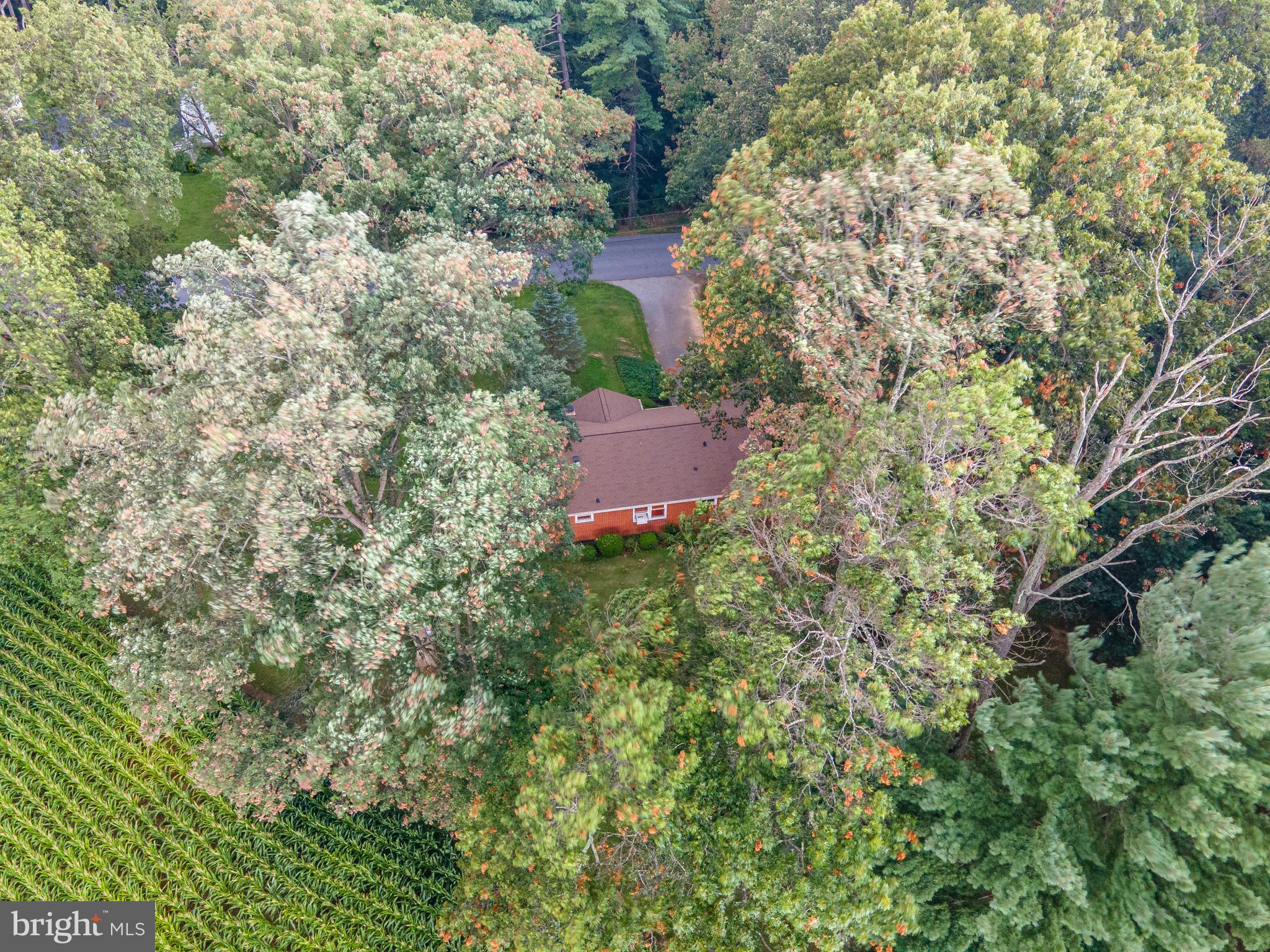 16805 Ridge Road Upperco, MD 21155 - Photo 11 of 25
