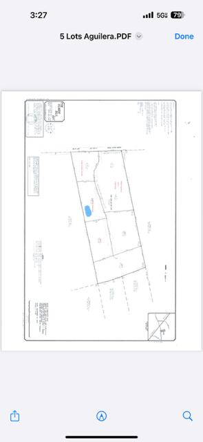 0 Myers Mayo Road, Unit LOT 3 Ridgeville, SC 29472 - Photo 2 of 2 Myers Mayo Lot