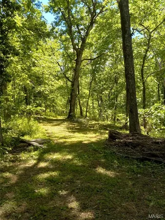 $1,800,000 | 1100 Hattie Drive, Willow Springs, MO 65793