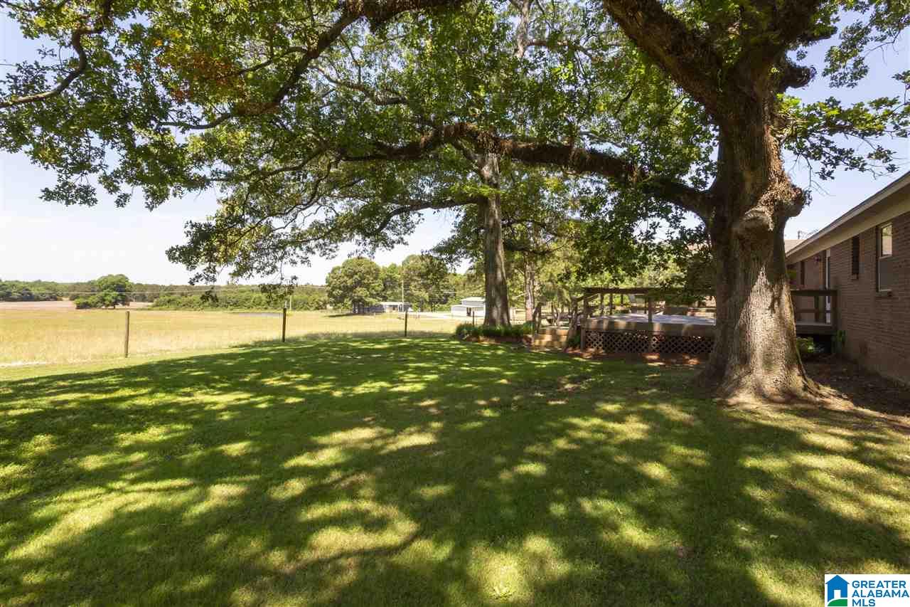 2125 Sun Valley Road Harpersville, AL 35078 - Photo 5 of 45 Gallery Image 5