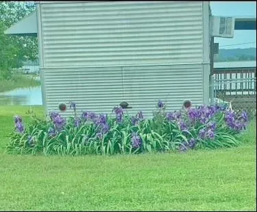a flower garden in front of a house