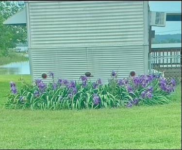 641 Sky Camp Loop, Unit 2 Graford, TX 76449 - Photo 25 of 29 a flower garden in front of a house