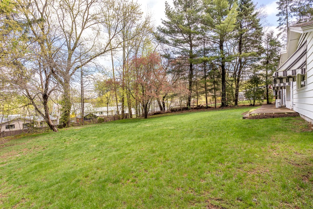 6 Wentworth Road Canton, MA 02021 - Photo 15 of 16 a view of a park with large trees
