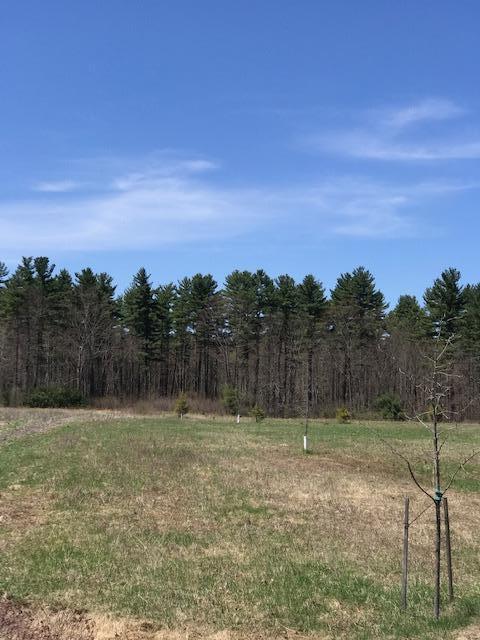 46 C Pease Road Buxton, ME 04093 - Photo 3 of 3 IMG_3882