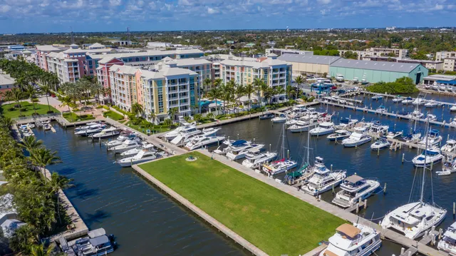 a view of a lake with a lot of plants and palm trees