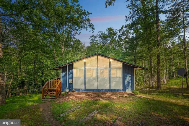 a view of a backyard with a garden and tree