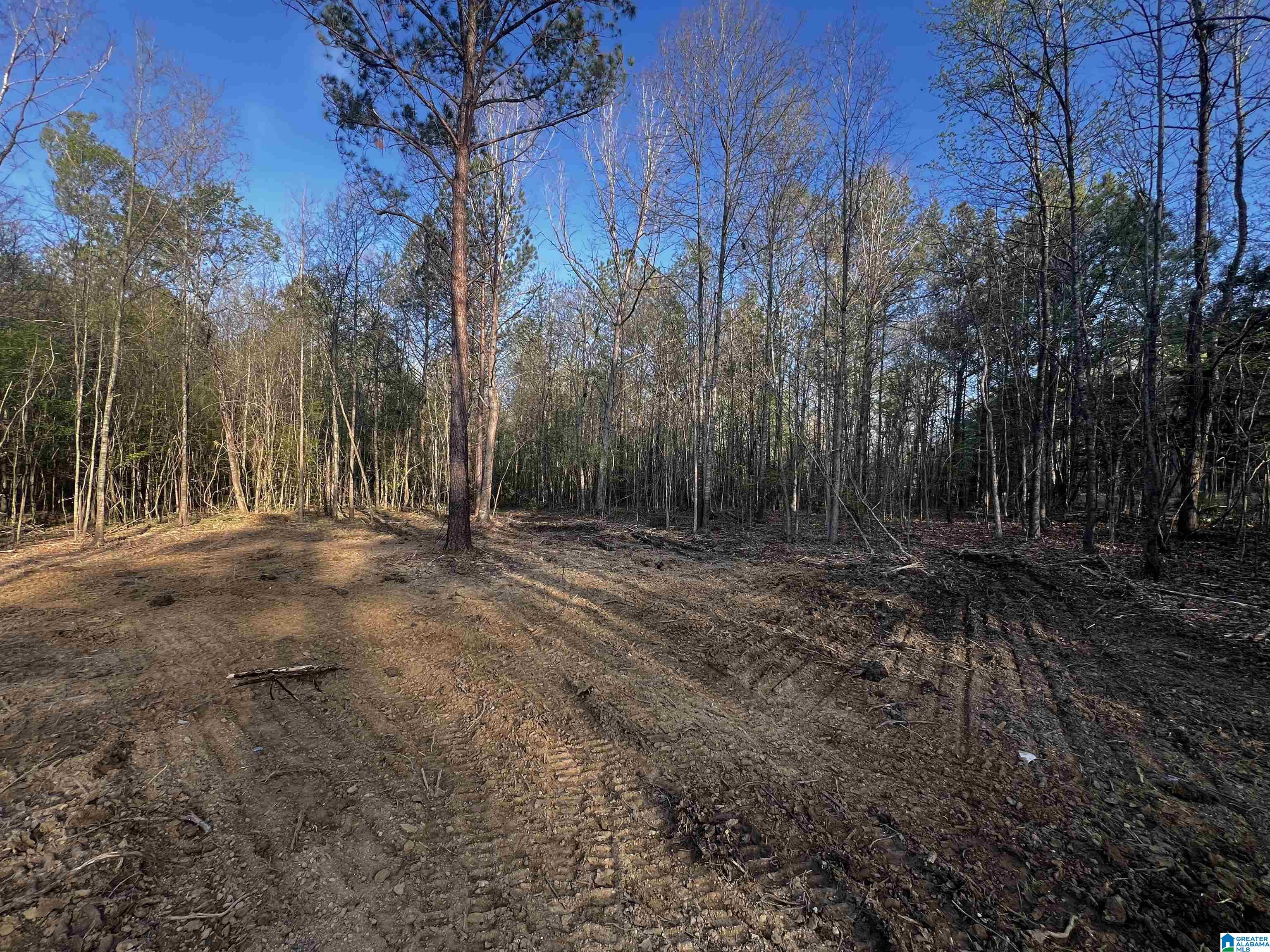 0 Francis Mill Road, Unit TRACT #1 Ohatchee, AL 36271 - Photo 4 of 4