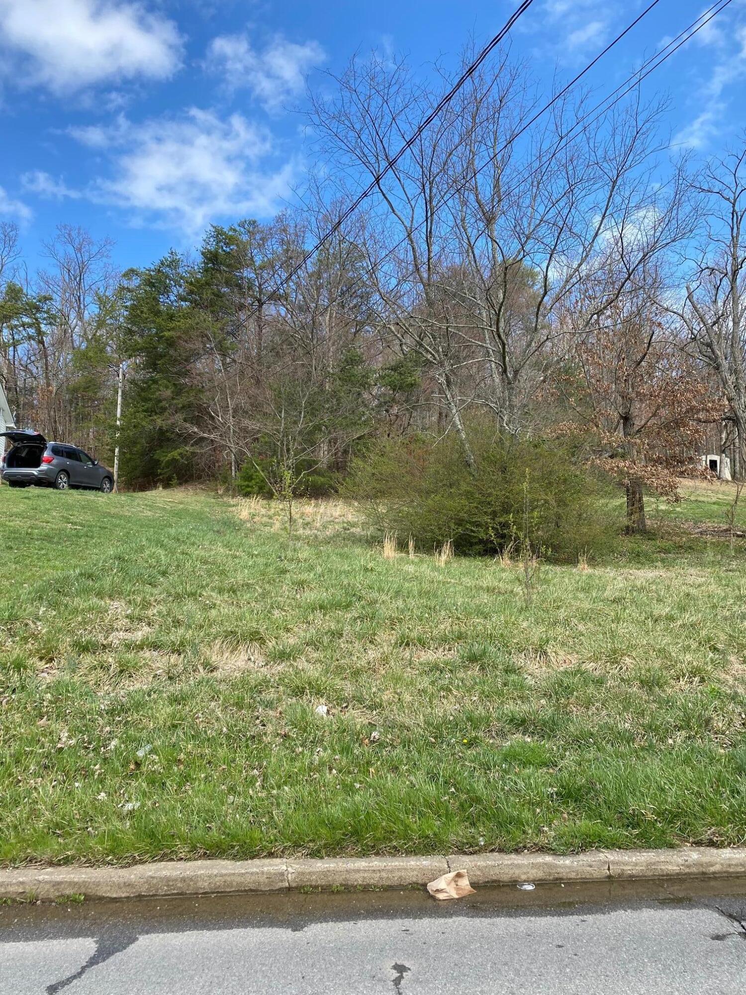 0 West Vann Road, Unit 4 Greeneville, TN 37743 - Photo 3 of 3 Warner WVann Lot 4b