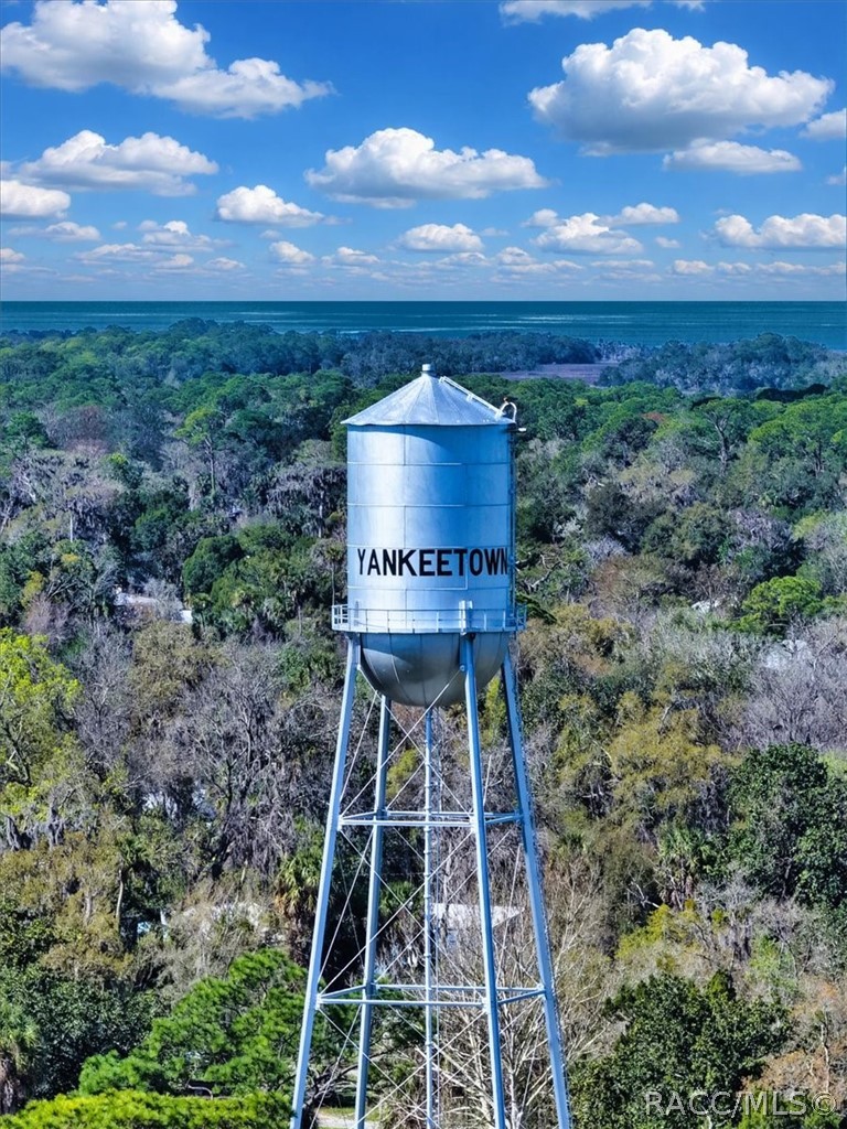 43 64th Street Yankeetown, FL 34498 - Photo 30 of 41
