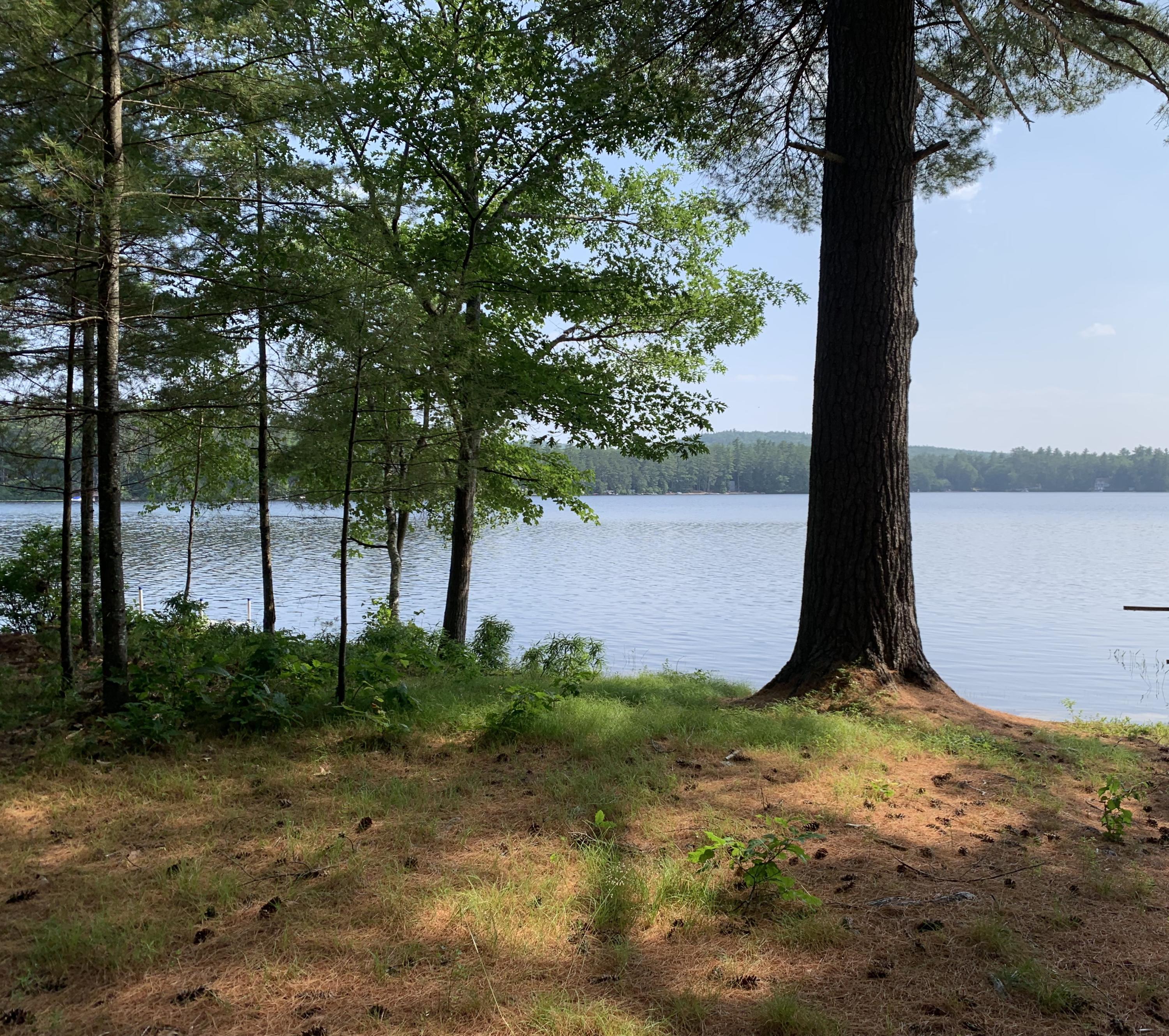 114 Barker Pond Road Sebago, ME 04029 - Photo 2 of 17 IMG_3439
