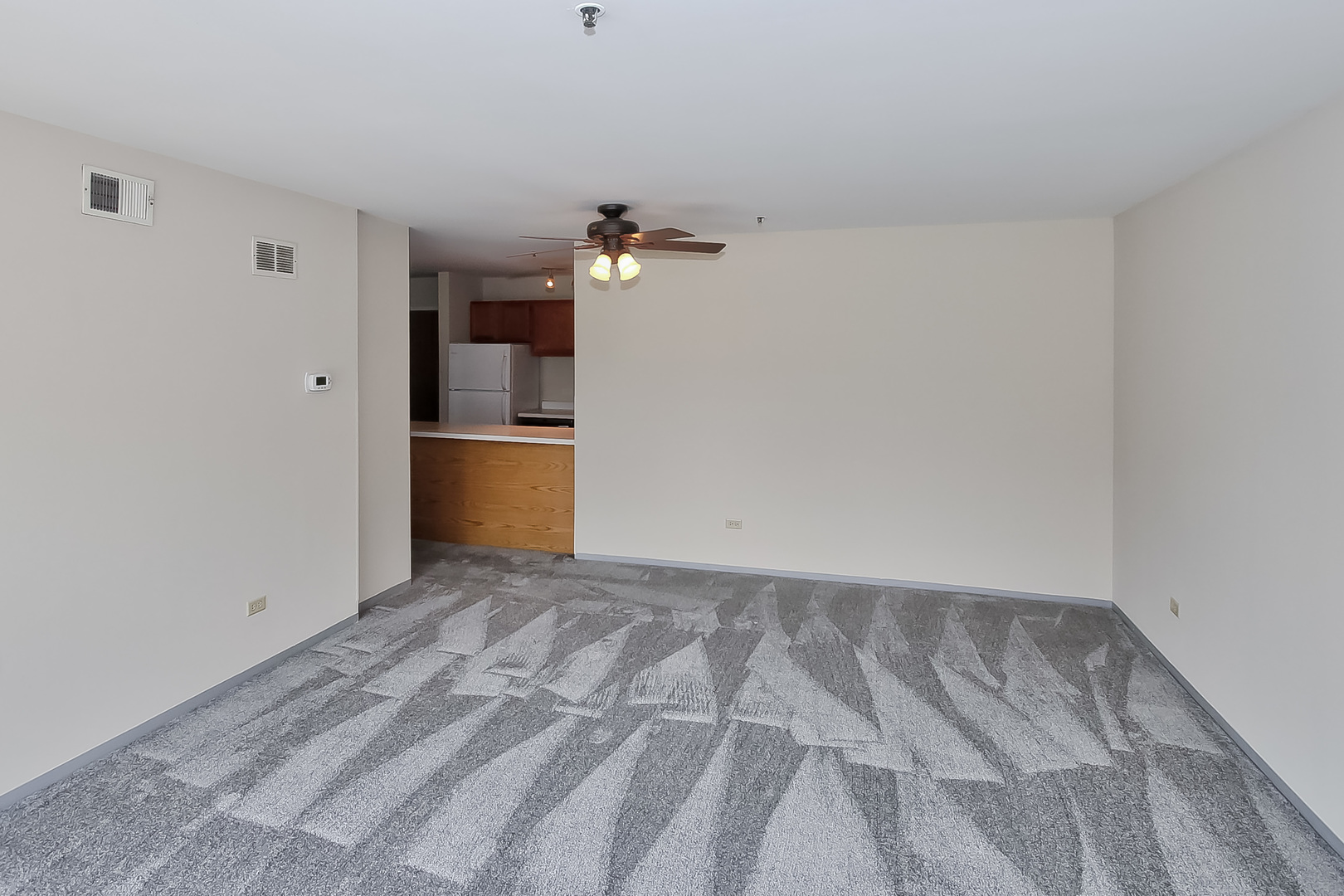 3255 Kirchoff Road, Unit 208 Rolling Meadows, IL 60008 - Photo 6 of 21 a view of a big room with closet and windows