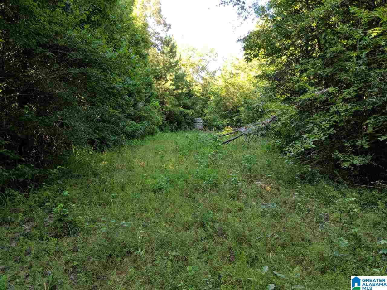 0 County Road 26 Wadley, AL 36276 - Photo 10 of 17