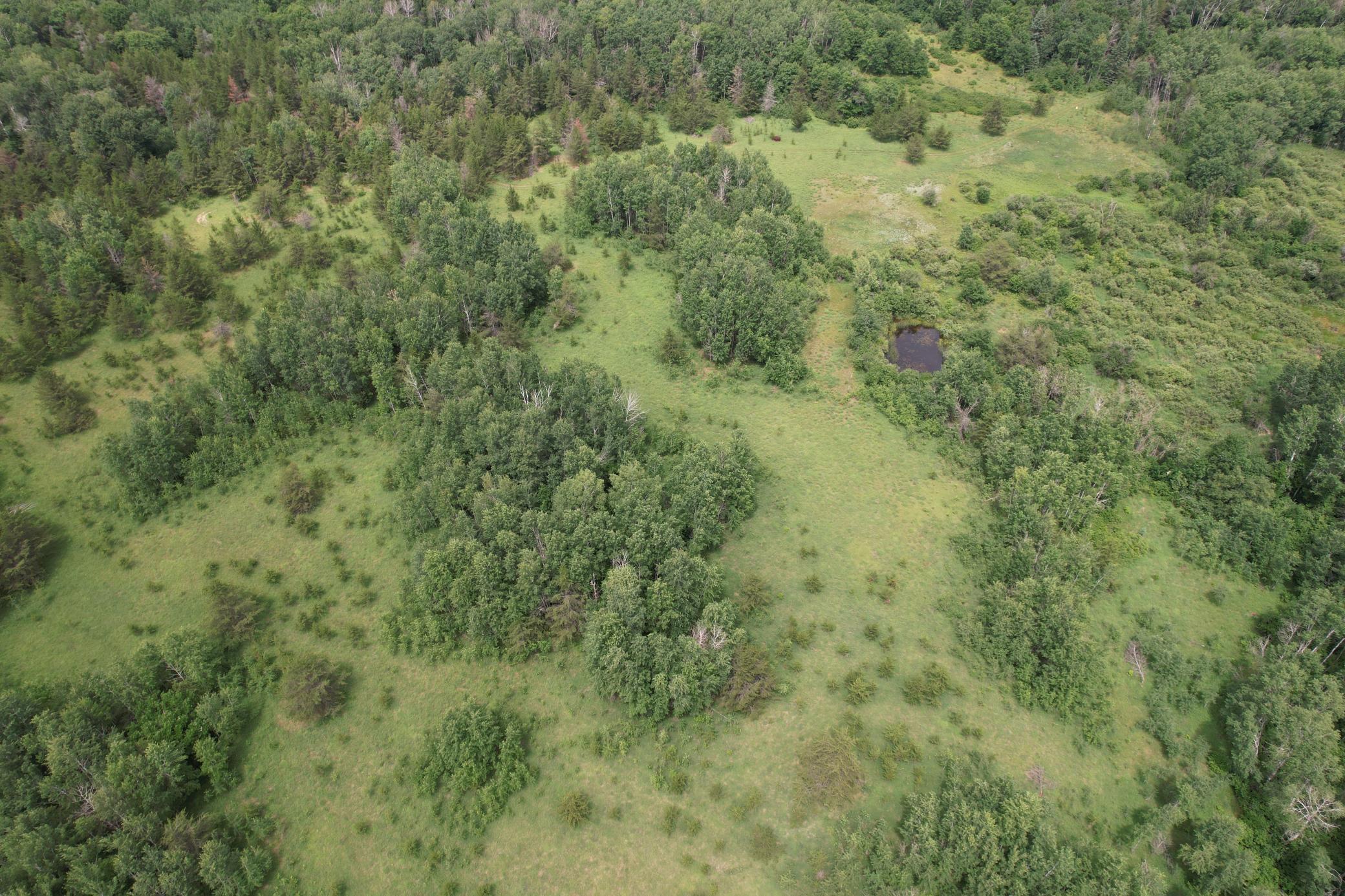 Tbd 350th Street Sebeka, MN 56477 - Photo 23 of 100