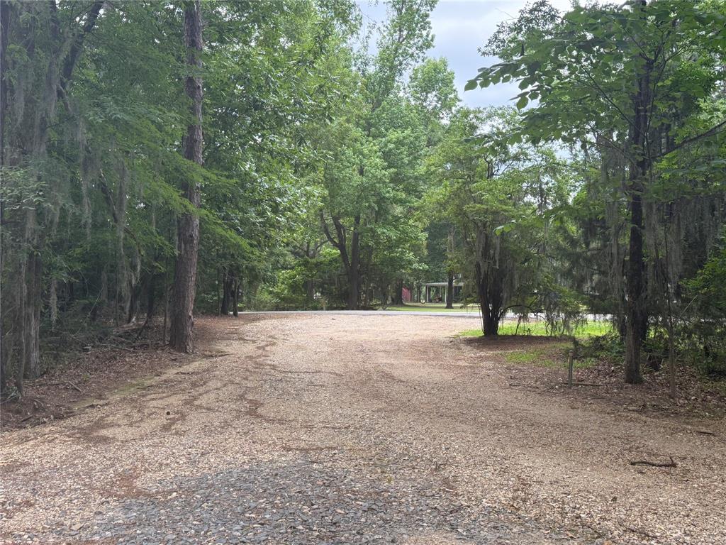 0 Diamond T Road Heflin, LA 71039 - Photo 4 of 7 Access Road. Beautiful Cypress Trees with Spanish Moss greet you upon entrance!