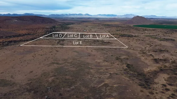 a view of a dry yard with mountain and trees