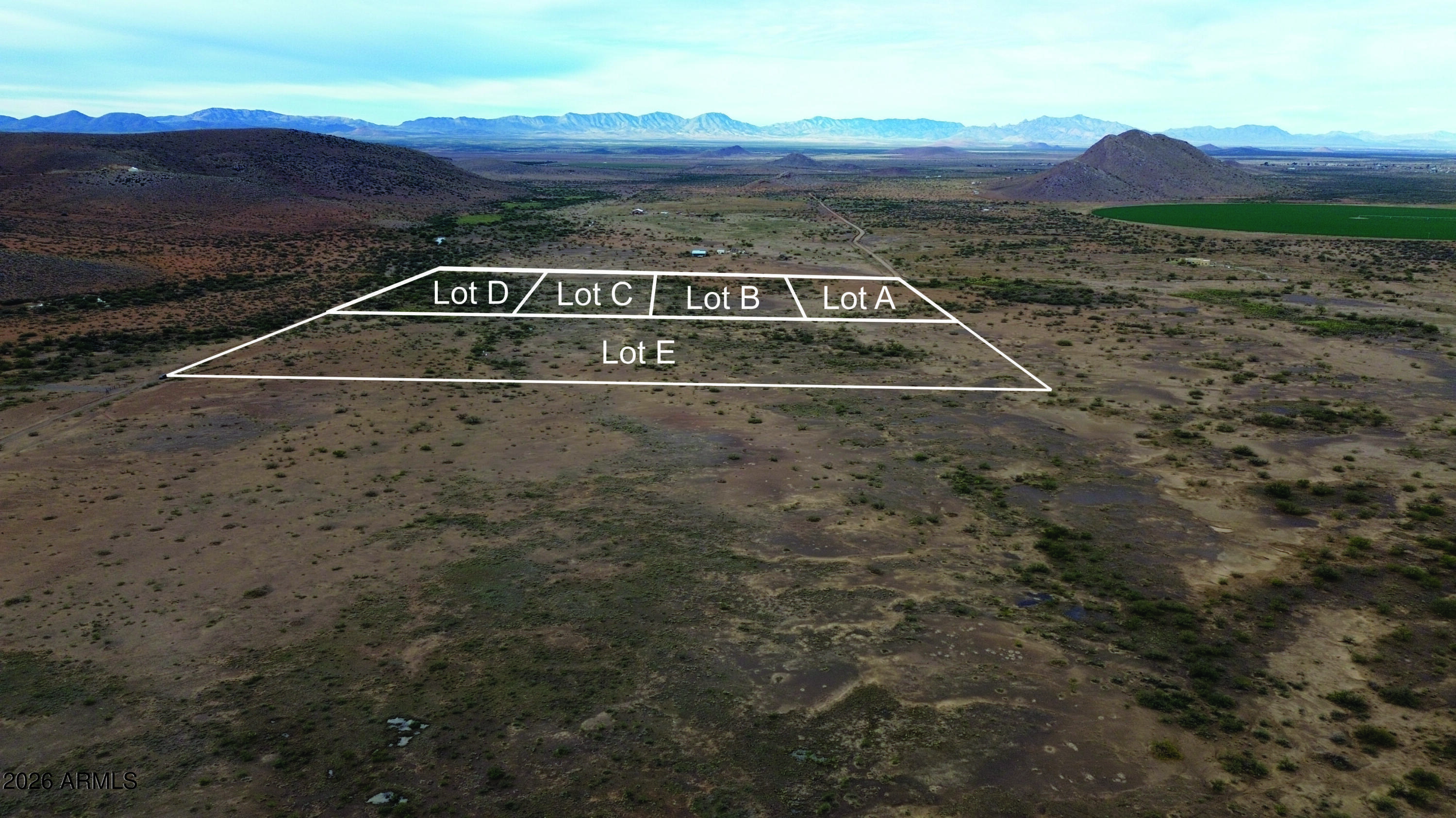 a view of a dry yard with mountain and trees
