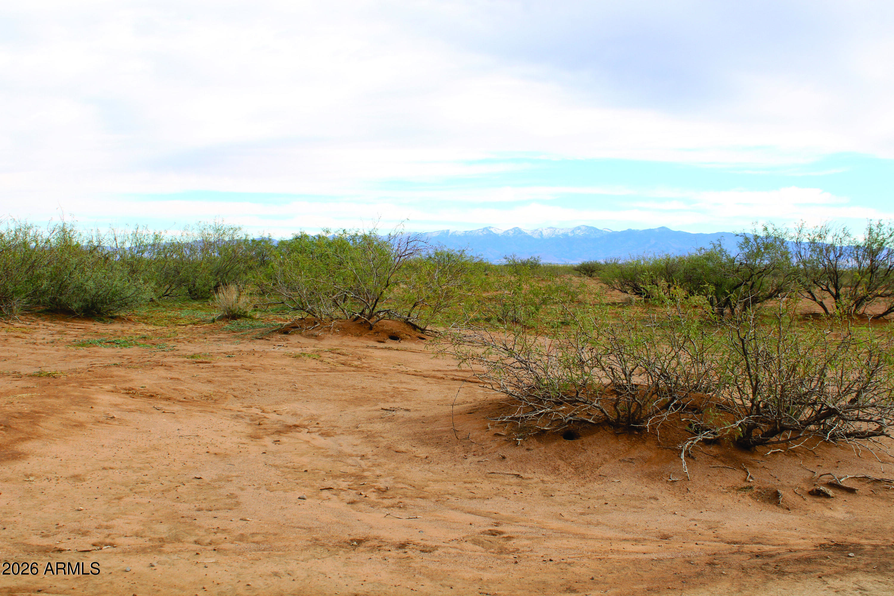 5-acres North Morgan Road, Unit D Pearce, AZ 85625 - Photo 21 of 21 a view of an outdoor space and mountain view