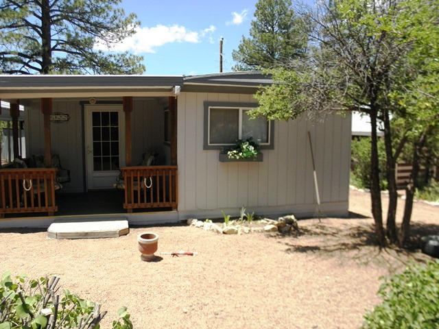3322 Rim Lakes Drive Overgaard, AZ 85933 - Photo 3 of 36 a view of a house with snow in the yard