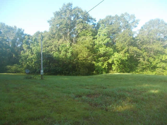 39883 T A Chastang Road Bay Minette, AL 36507 - Photo 4 of 5