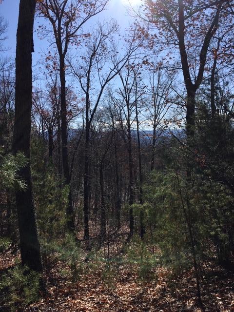 Bluff Mountain Road Sevierville, TN 37862 - Photo 3 of 6 Lot 128 b
