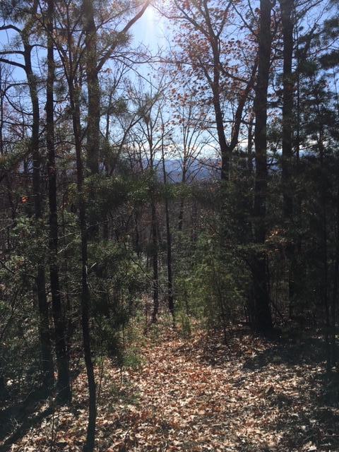 Bluff Mountain Road Sevierville, TN 37862 - Photo 4 of 6 lot 128 c