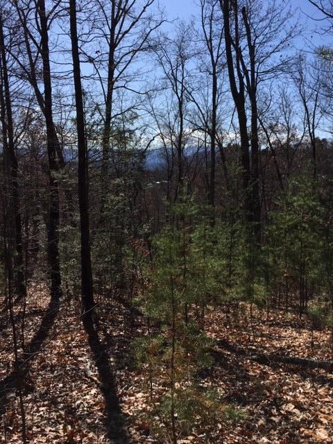 Bluff Mountain Road Sevierville, TN 37862 - Photo 5 of 6 Lot 128 e