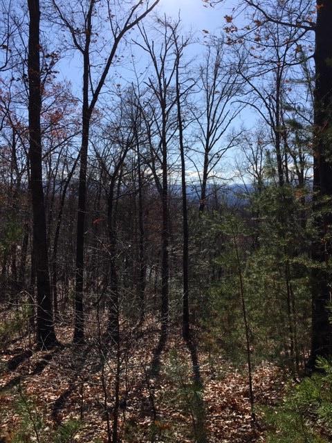 Bluff Mountain Road Sevierville, TN 37862 - Photo 6 of 6 Lot 128 f
