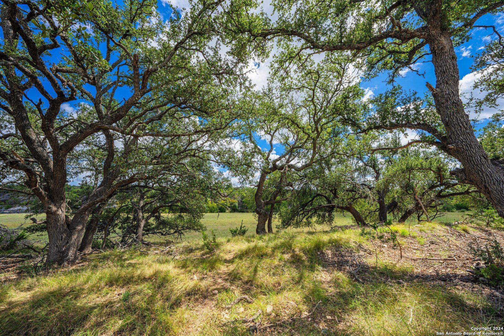 783 Ranch To Market Road 783 Harper, TX 78631 - Photo 11 of 24