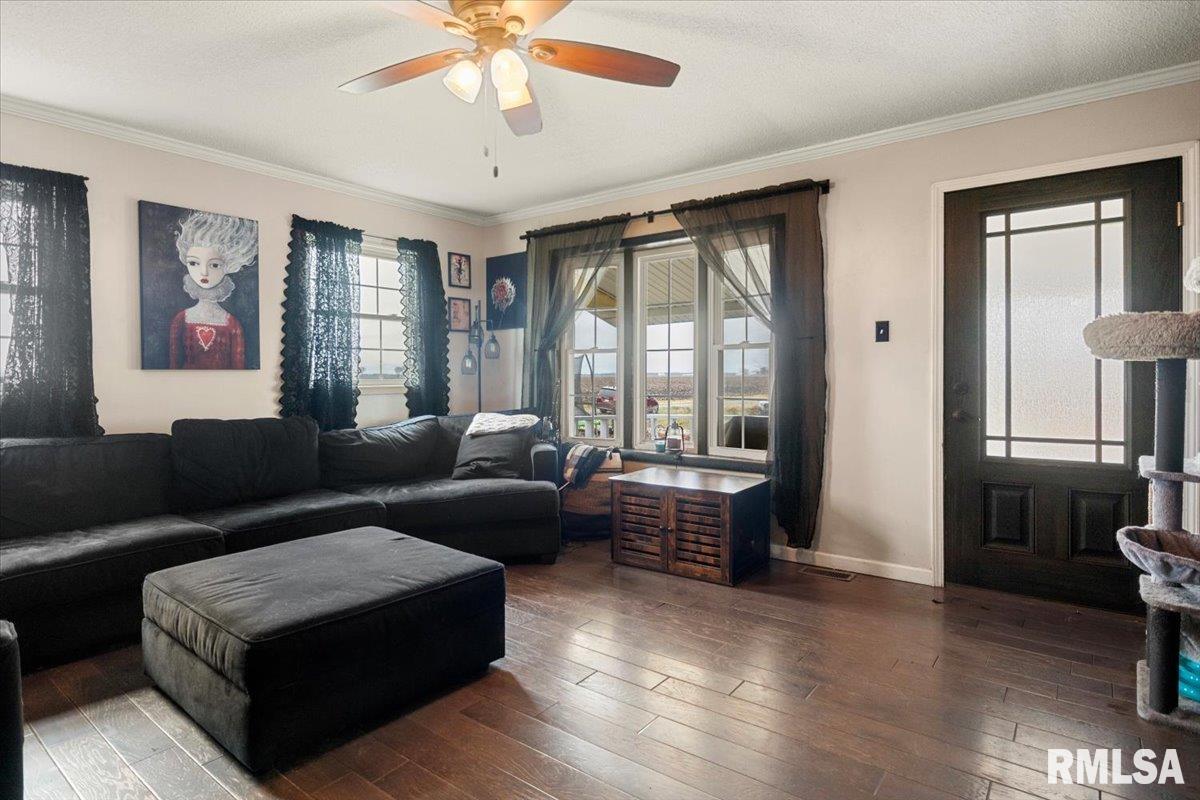 9625 Tip Top Road Chatham, IL 62629 - Photo 4 of 29