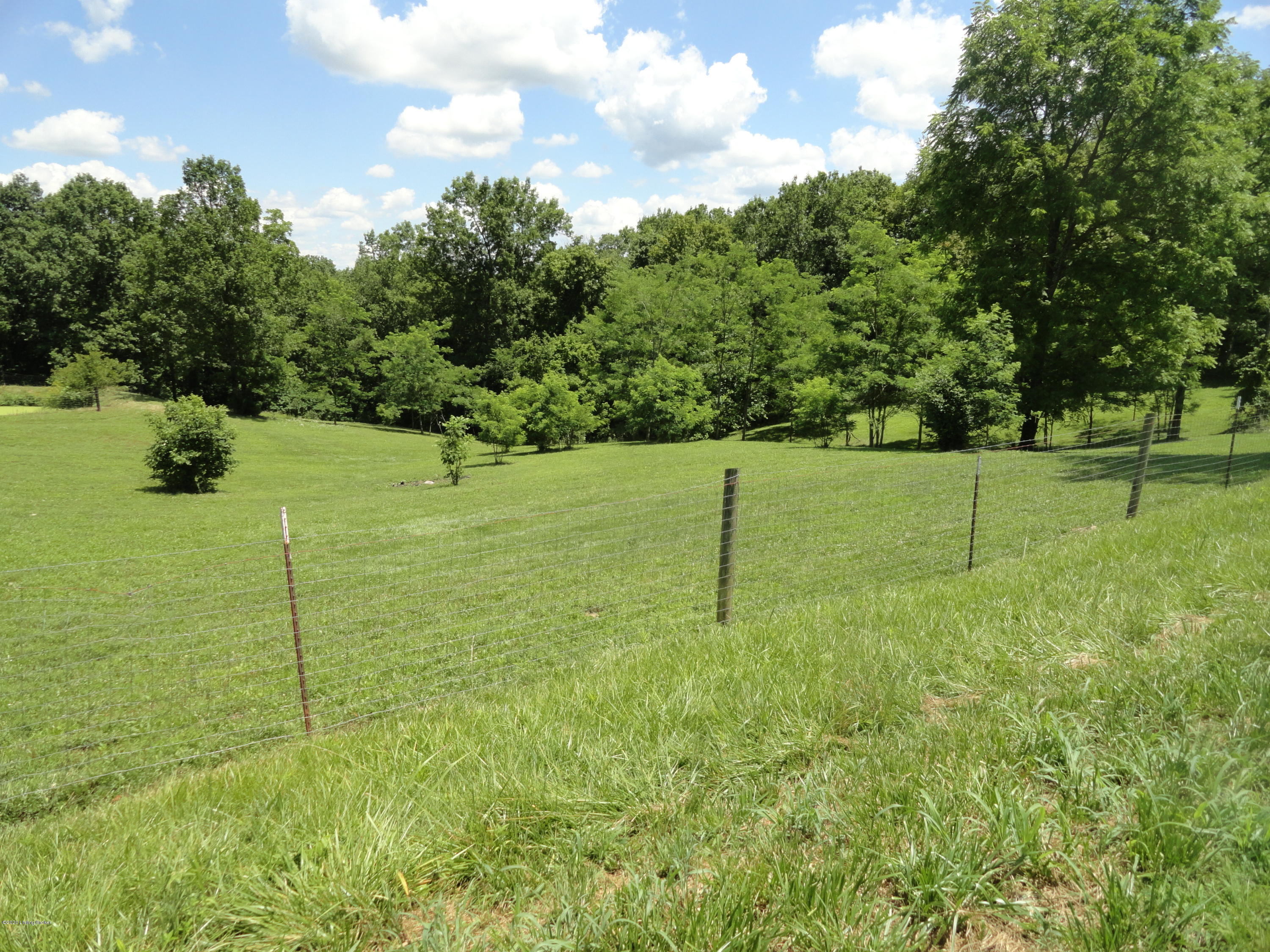 1170 Anderson City Road Lawrenceburg, KY 40342 - Photo 5 of 70 DSC03122