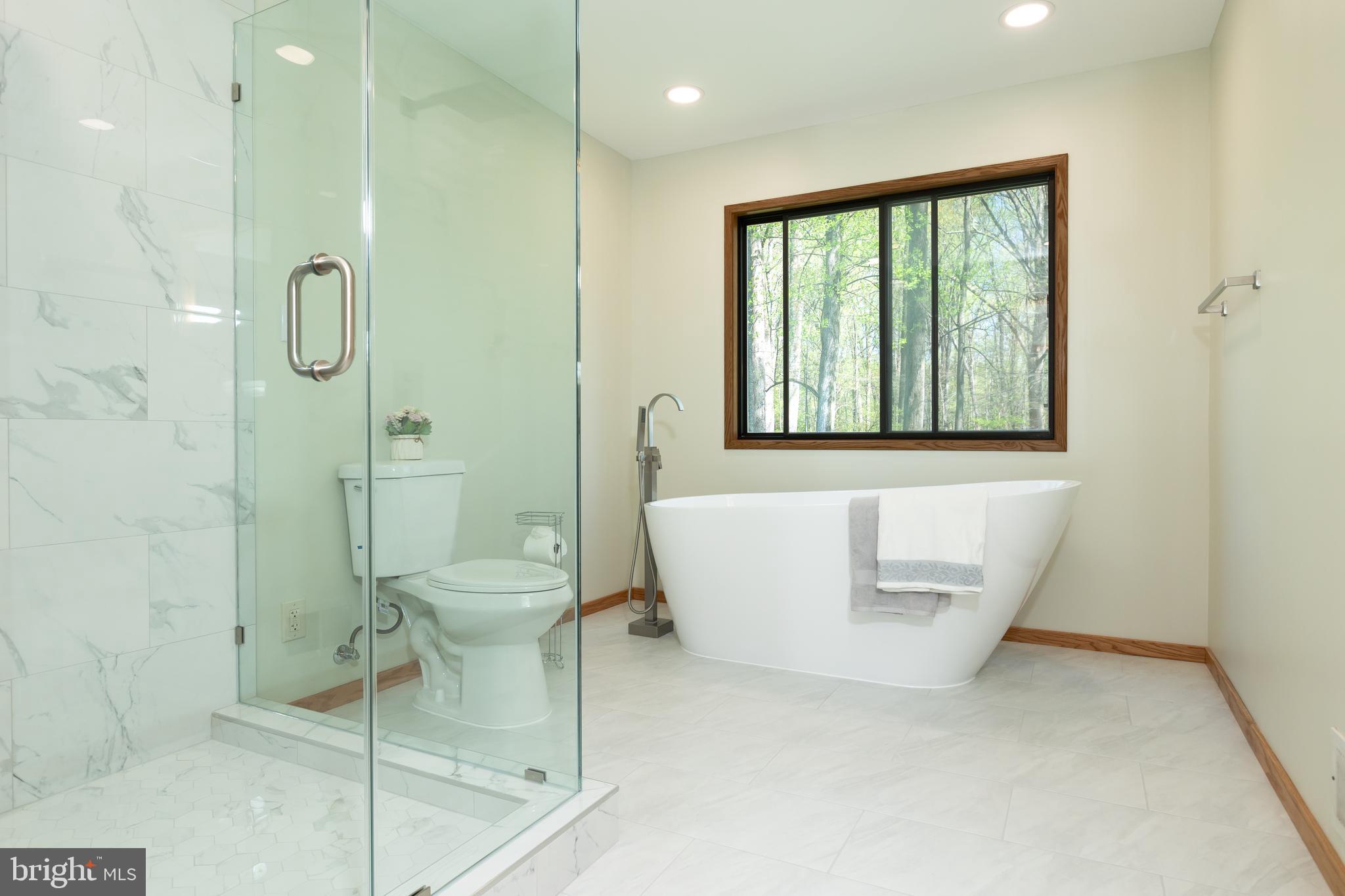 513 Springvale Road Great Falls, VA 22066 - Photo 43 of 95 Master bath