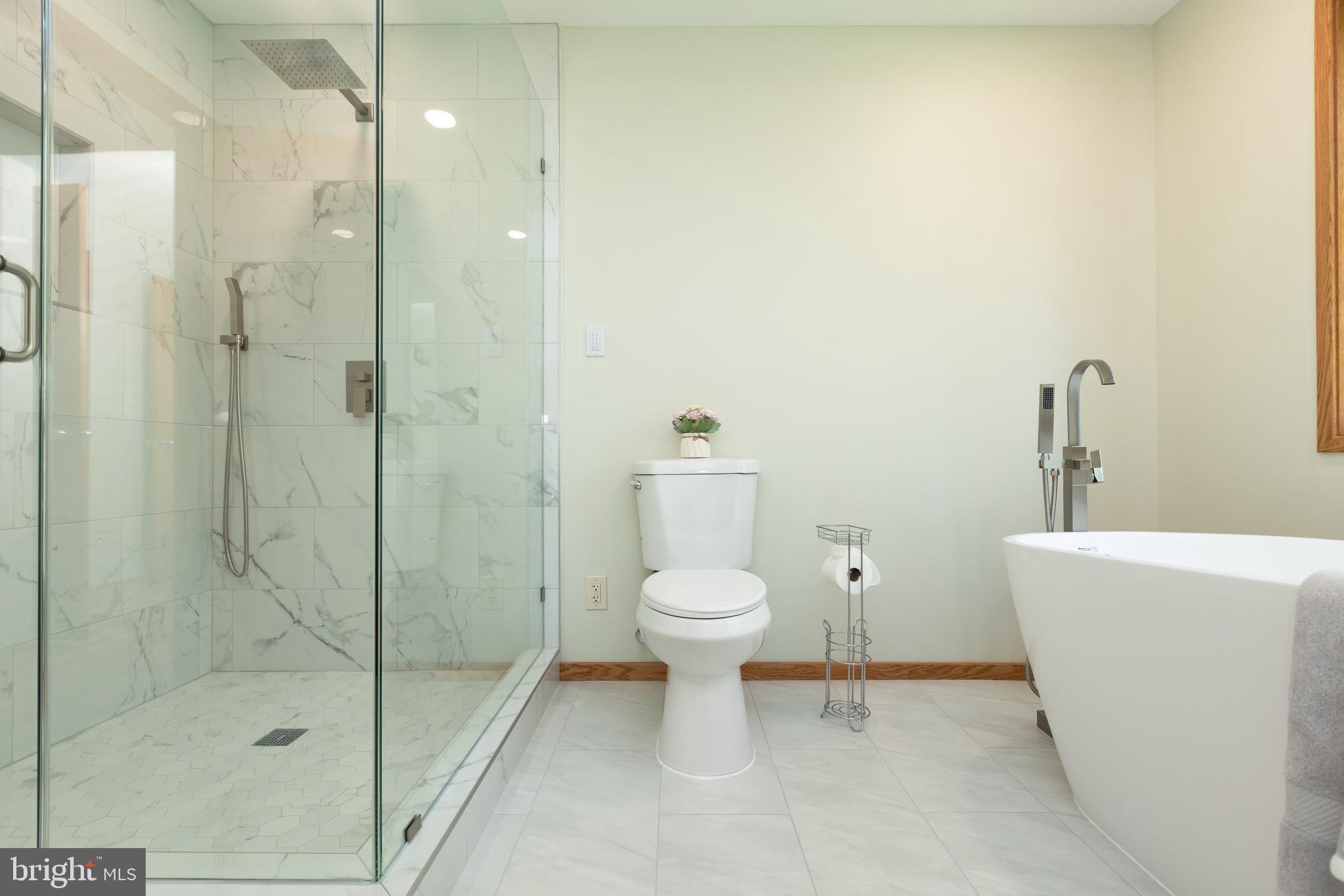 513 Springvale Road Great Falls, VA 22066 - Photo 44 of 95 Master bath