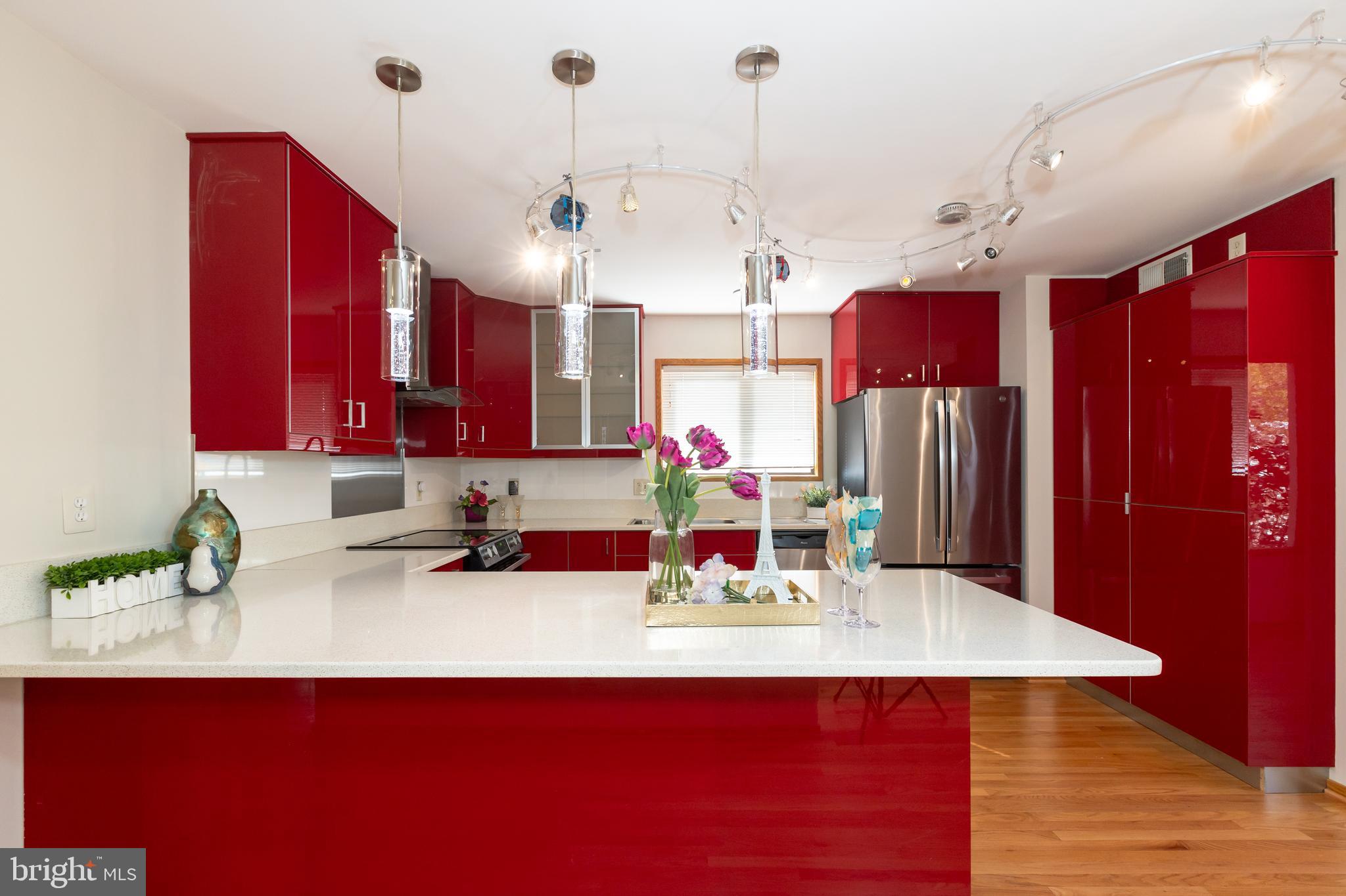 513 Springvale Road Great Falls, VA 22066 - Photo 7 of 95