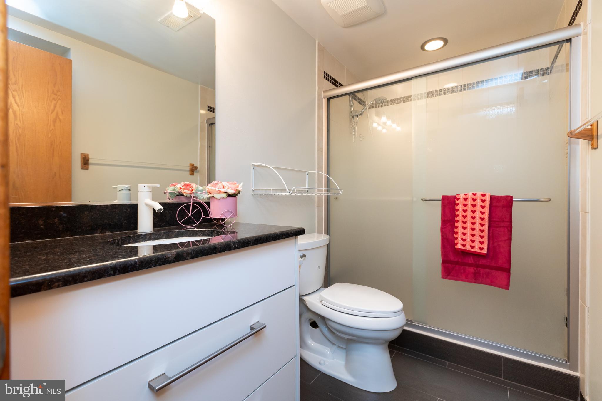 513 Springvale Road Great Falls, VA 22066 - Photo 72 of 95 Full bath basement