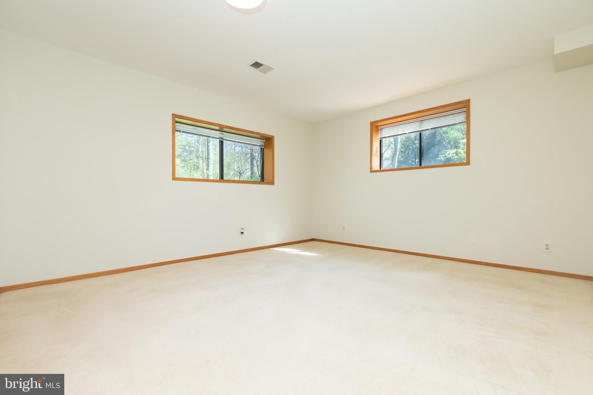 513 Springvale Road Great Falls, VA 22066 - Photo 73 of 95 5th bedroom basement