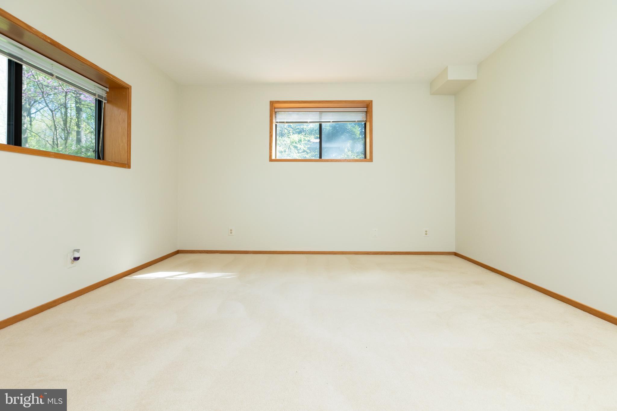 513 Springvale Road Great Falls, VA 22066 - Photo 74 of 95 5th bedroom basement