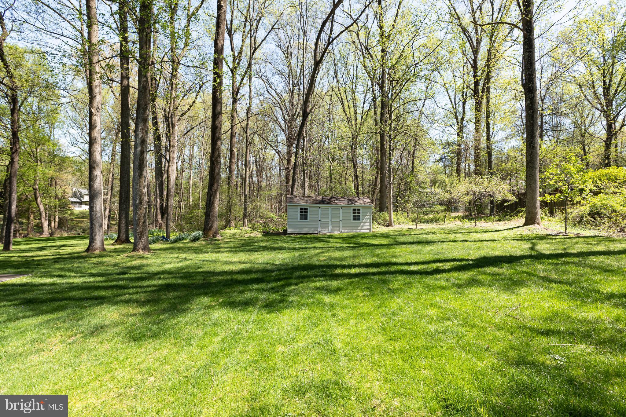 513 Springvale Road Great Falls, VA 22066 - Photo 86 of 95 Backyard