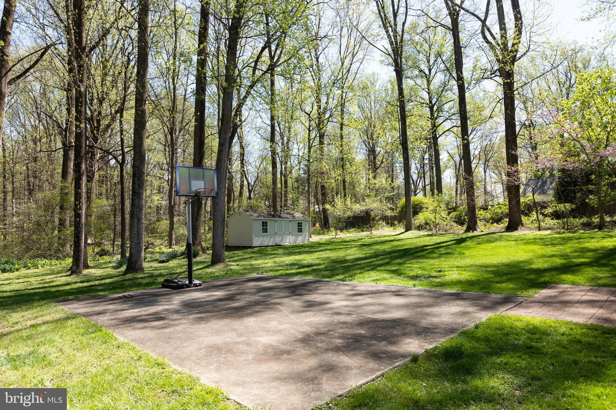 513 Springvale Road Great Falls, VA 22066 - Photo 88 of 95