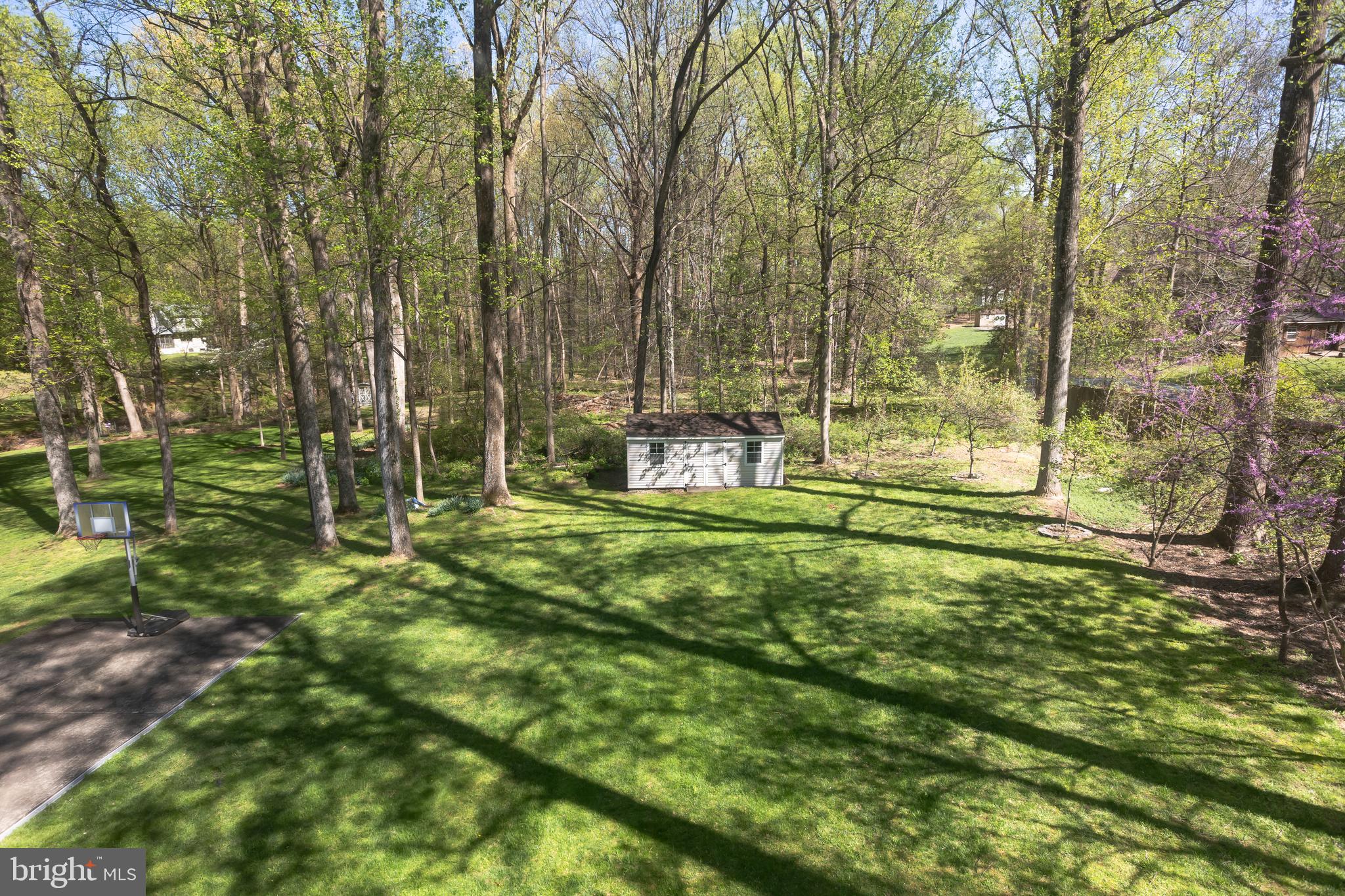 513 Springvale Road Great Falls, VA 22066 - Photo 89 of 95