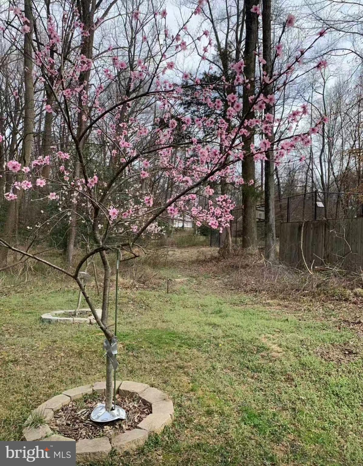 513 Springvale Road Great Falls, VA 22066 - Photo 92 of 95