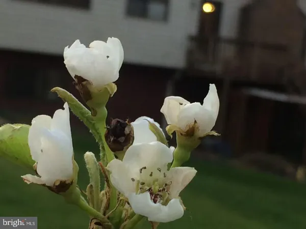 $1,499,000 | 513 Springvale Road, Great Falls, VA 22066
