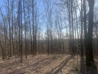 0 Newby Road Southeast Cleveland, TN 37323 - Photo 1 of 12 Gallery Image 1