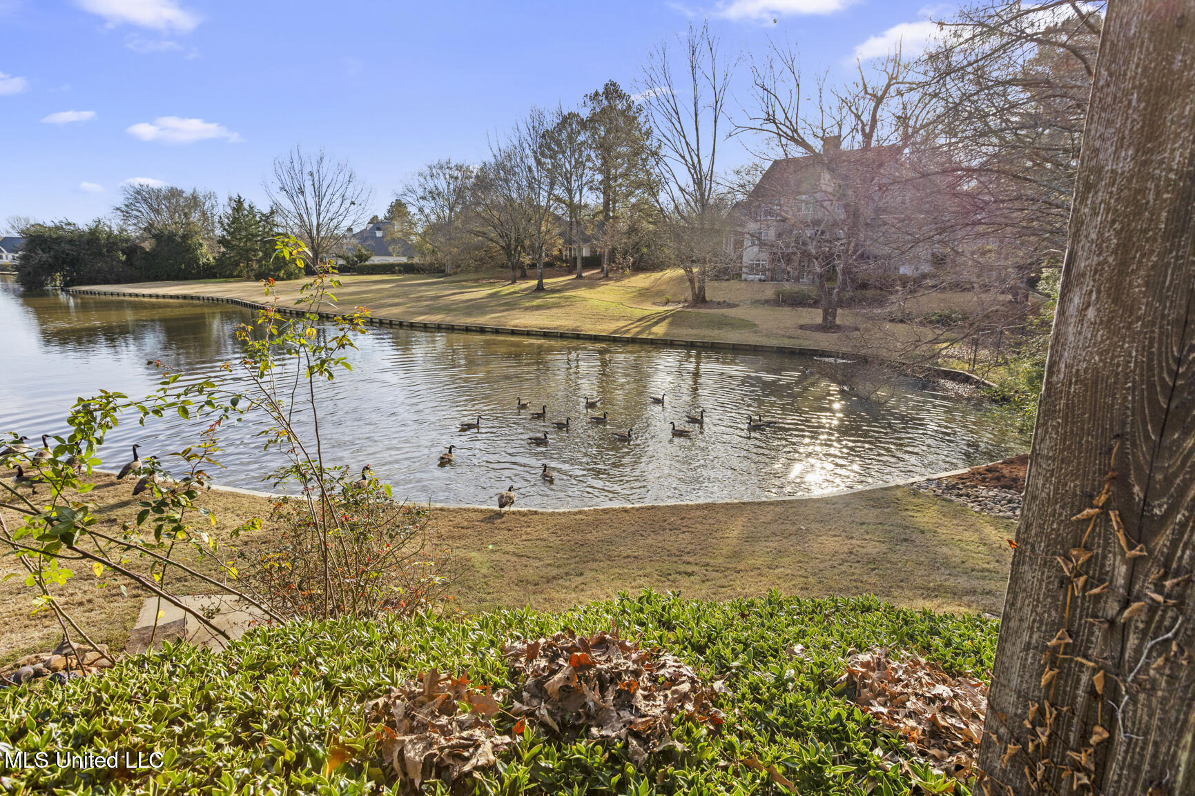 105 Bridgeview Circle Ridgeland, MS 39157 - Photo 46 of 49 105 Bridgeview update-35