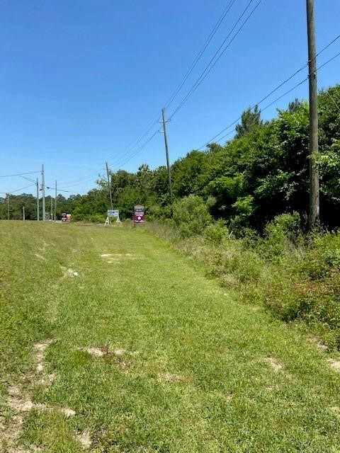 13002 Huffmeister Road Cypress, TX 77429 - Photo 4 of 9 a view of a large garden with an ocean