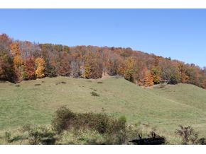 0 Slagle Road Watauga, TN 37694 - Photo 2 of 11 Photo 2