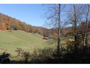 0 Slagle Road Watauga, TN 37694 - Photo 3 of 11 Photo 3