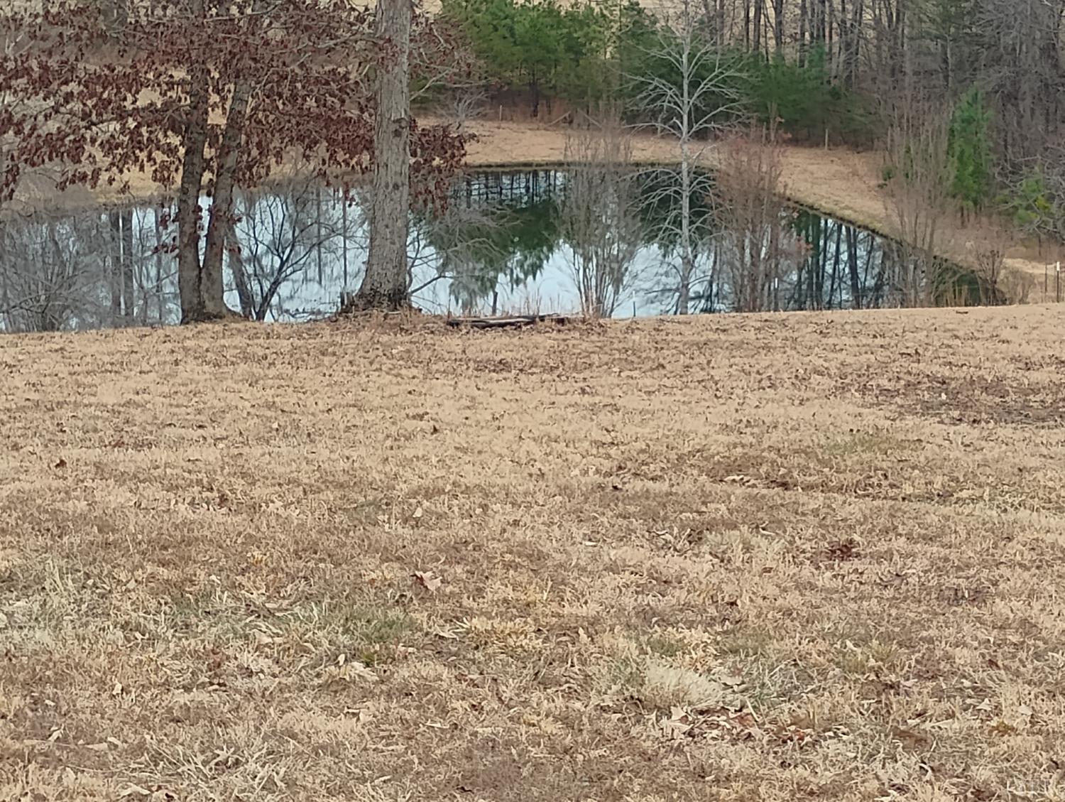 4183 Tye River Road Amherst, VA 24521 - Photo 3 of 67